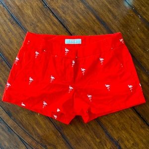 EUC J. Crew Flamingo Print Chino Shorts